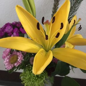 Meet your Posher, Silvia yaneth